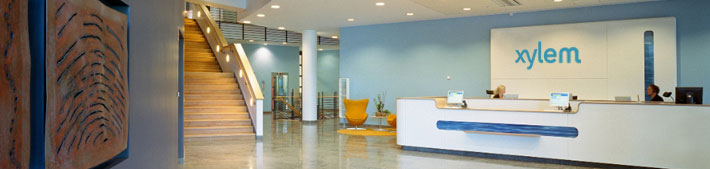 About Xylem