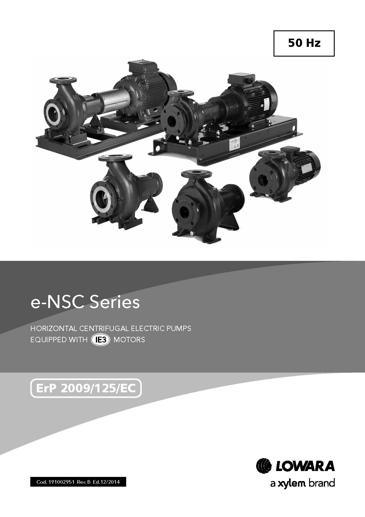 e-NSC系列臥式鑄鐵端吸泵